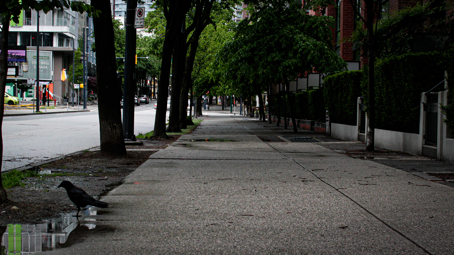 vancouver street photography, by jacqueline mayne